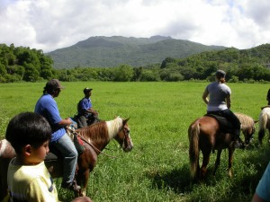 elyunque-horses